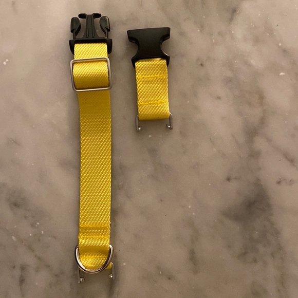 Brand new never used FII dog collar